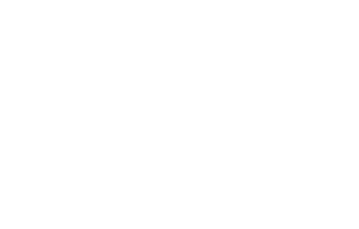 Laura Ponce Acupuncture & Wellness